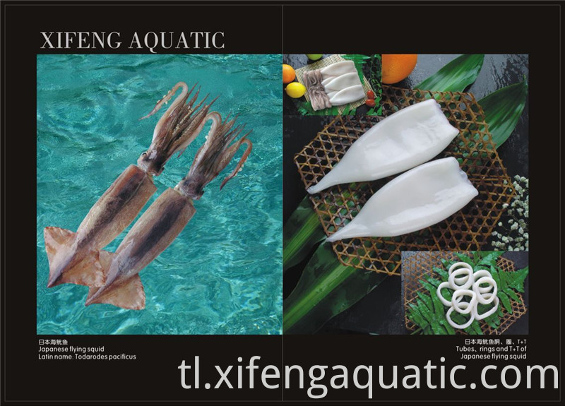 Todarodes Pacificus Todarodes Pacificus